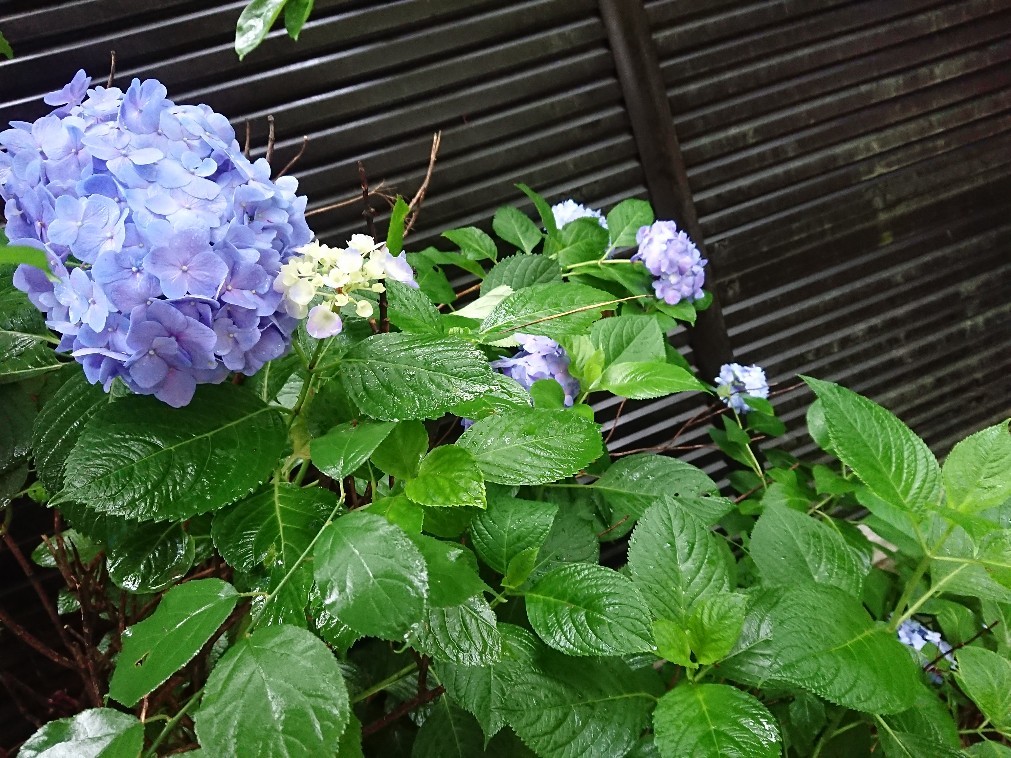 e0212073_19060091.jpg