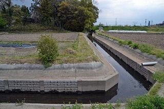 d0356076_16362464.jpg