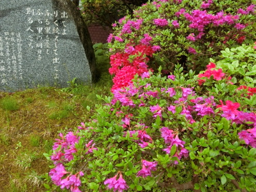 映画「どこかに美しい村はないか」何事も軽々とやってのける人になりたい。_a0053480_20070525.jpg