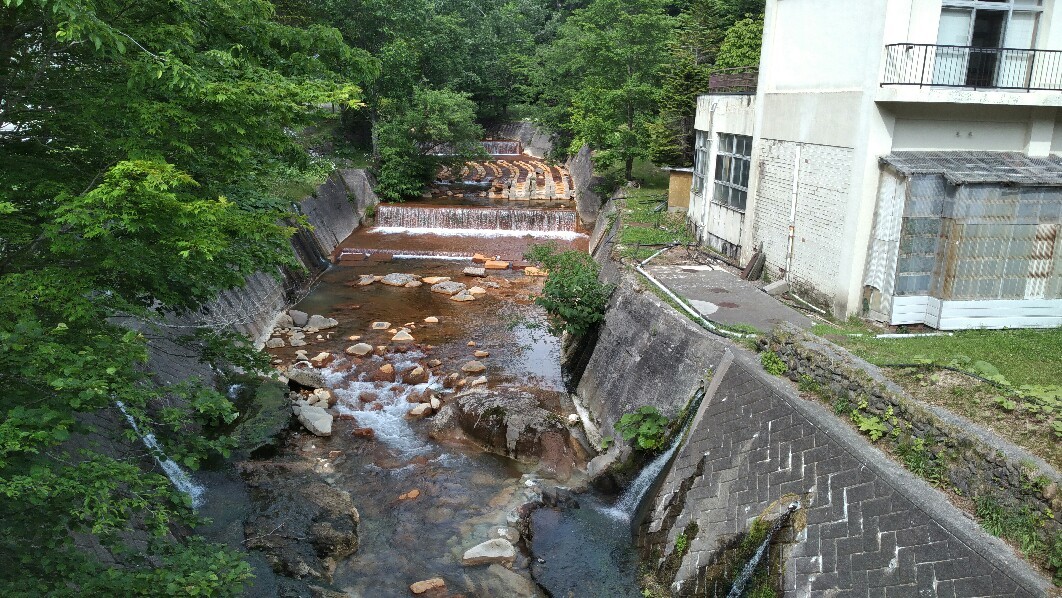 a0108380_04491692.jpg