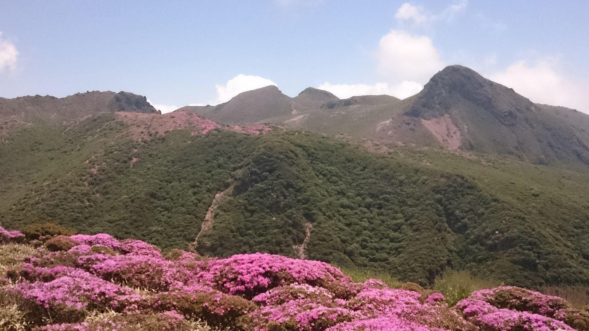 f0082181_17135953.jpg