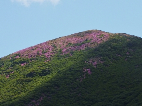 f0082181_17225564.jpg