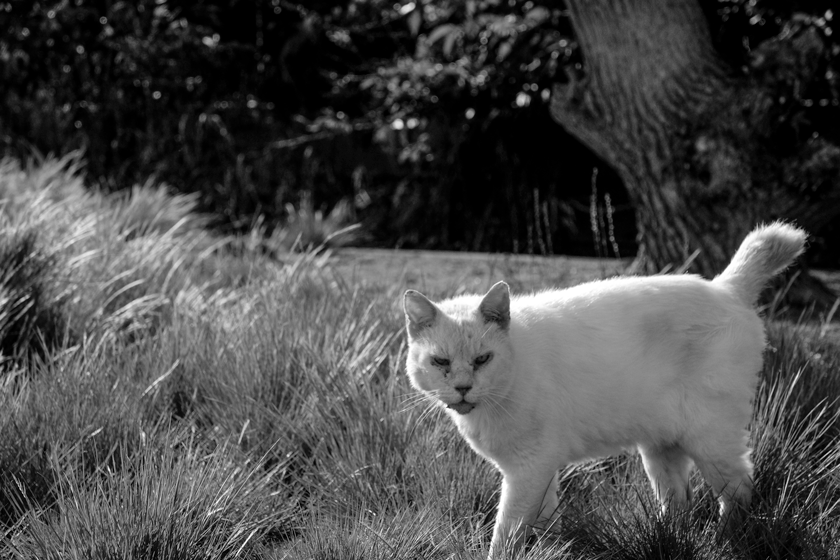 e0243382_17545844.gif