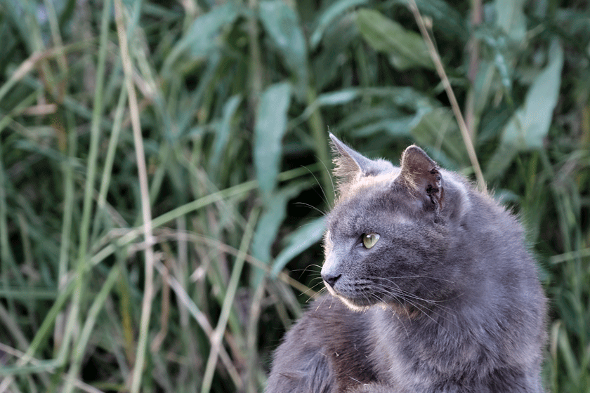 e0243382_17553347.gif