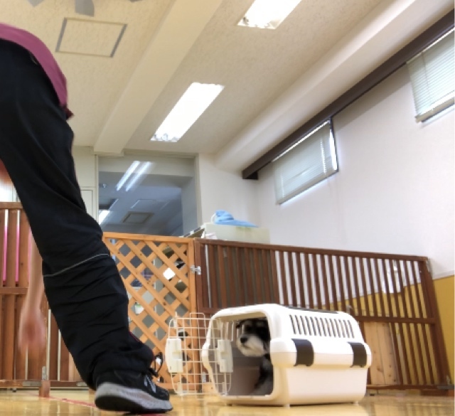 トレーニングブログ_f0357682_07115212.jpeg