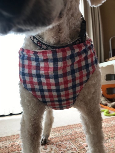 a0216583_22595388.jpeg