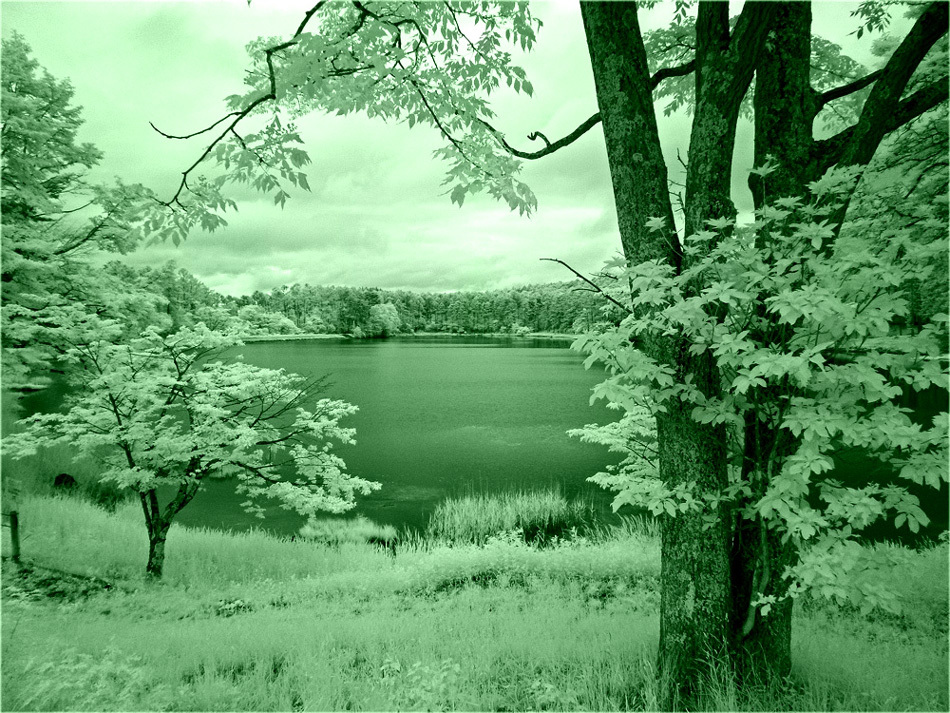 c0229384_20404477.jpg