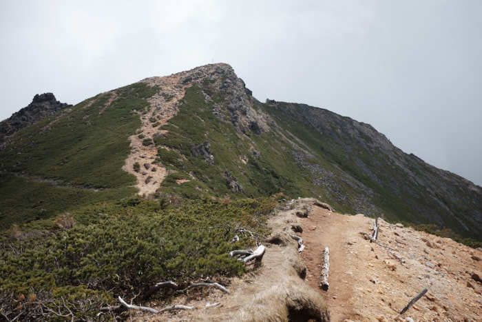 b0339488_18535408.jpg