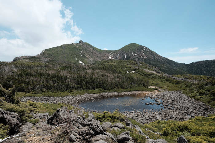 b0339488_18555691.jpg