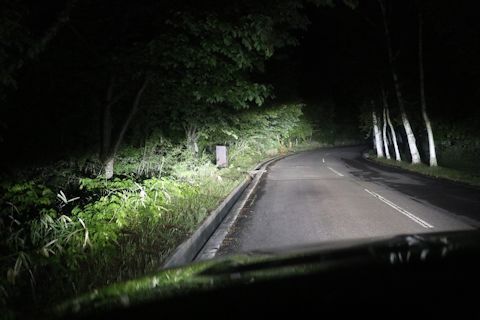 c0090198_17533301.jpg