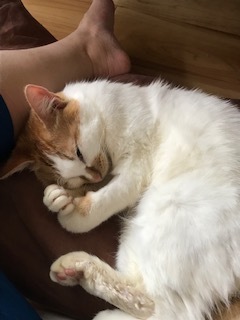 ニコニコ通信 -Vol.5-_f0242002_21123472.jpeg