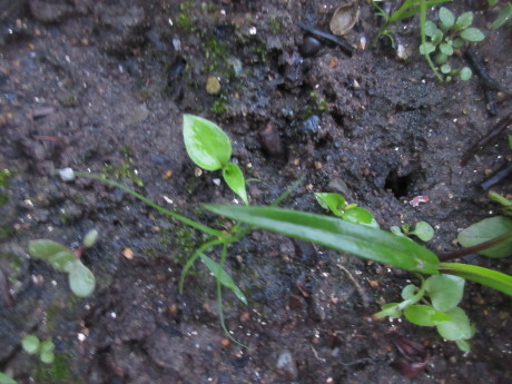 a0203003_21091468.jpg