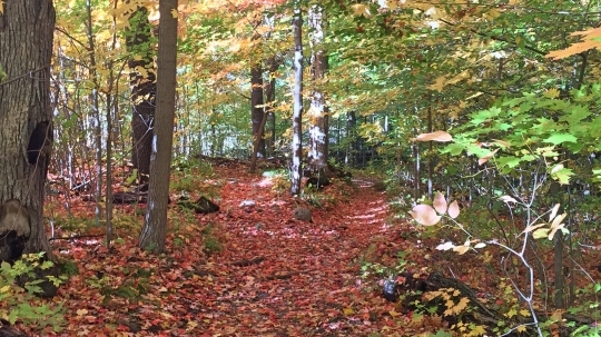 e0271804_20003968.jpg