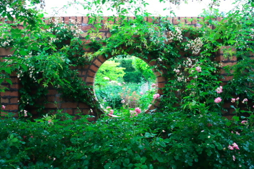 a0263109_08120032.jpg