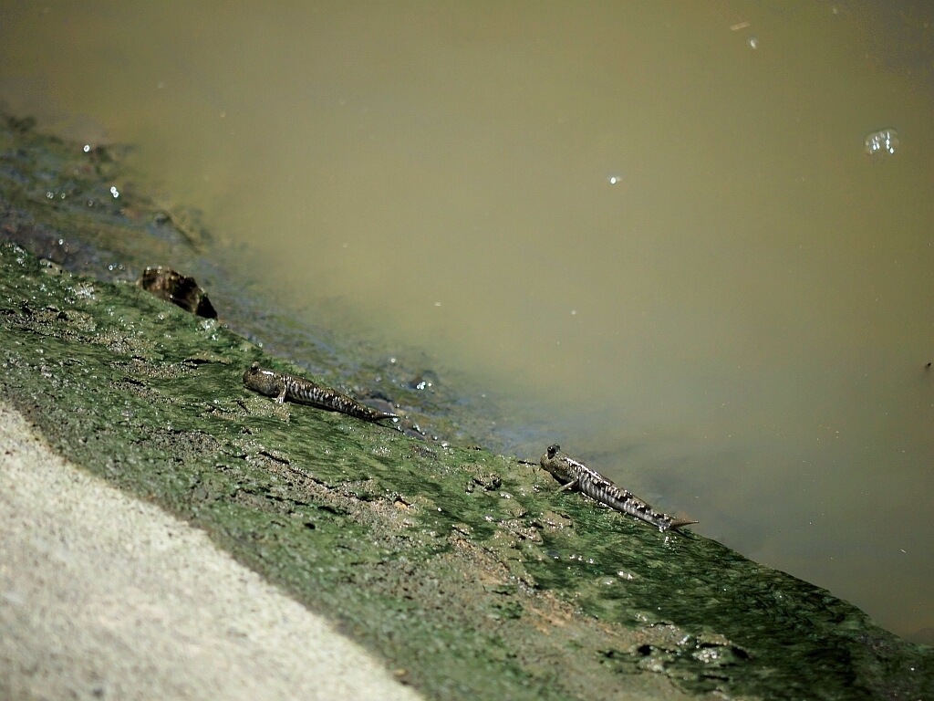 e0364711_22260592.jpg