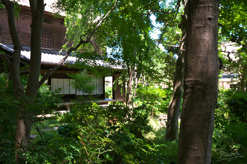 f0344614_22135007.jpg