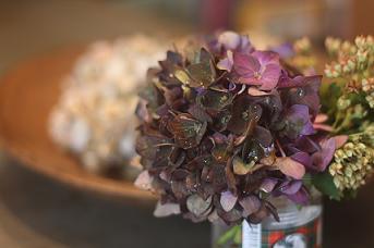no.422 来年も花を咲かせたい!・切り花をドライに。。(紫陽花いろいろ談義)_a0139315_15344600.jpg