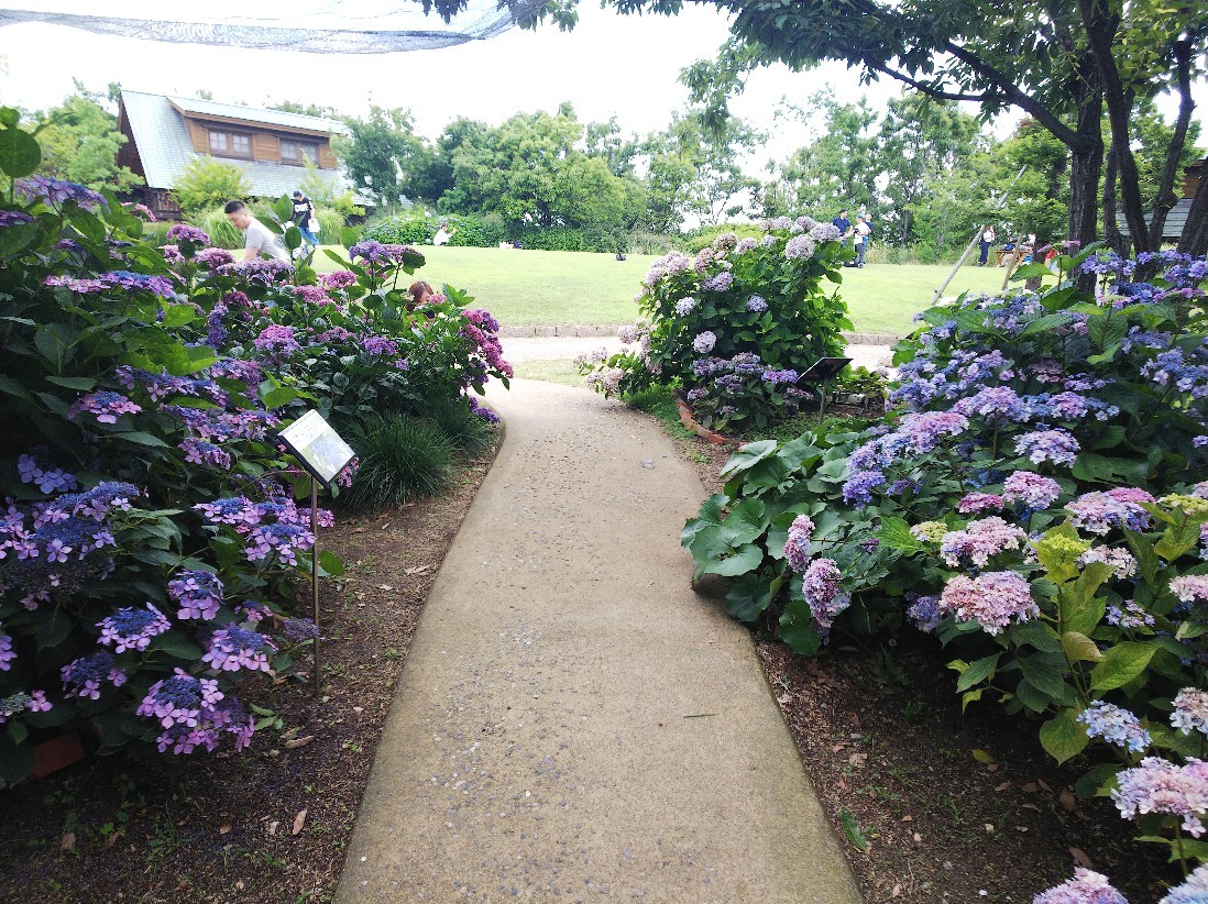 a0098418_21302815.jpg