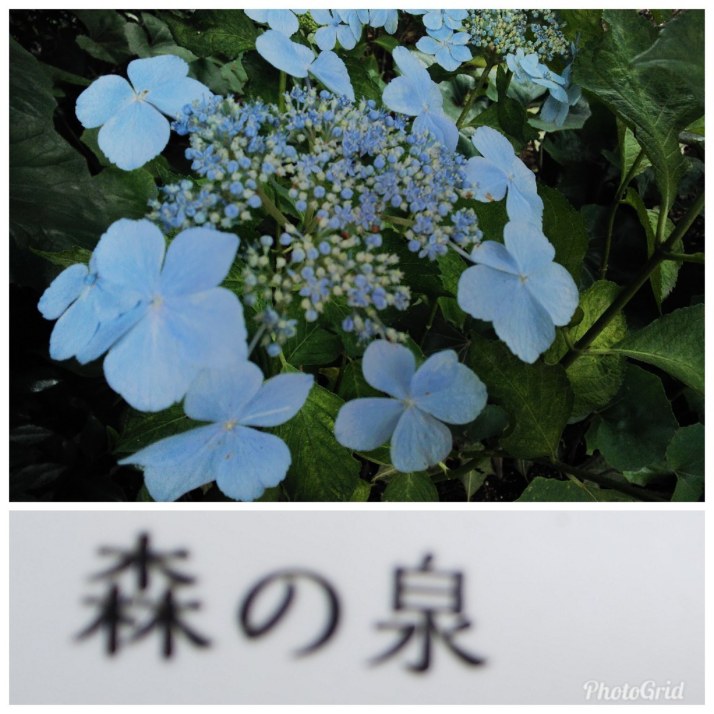 a0098418_21314521.jpg