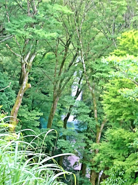 e0359418_09392353.jpg