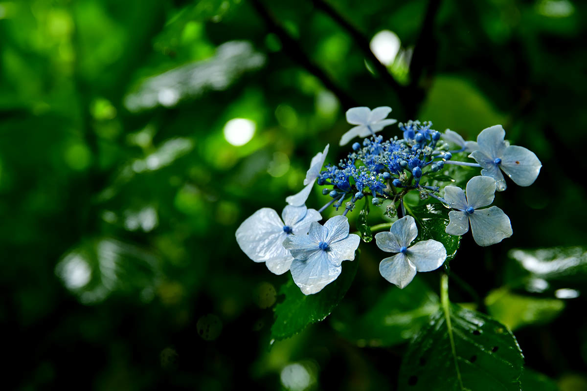 a0059621_09114145.jpg