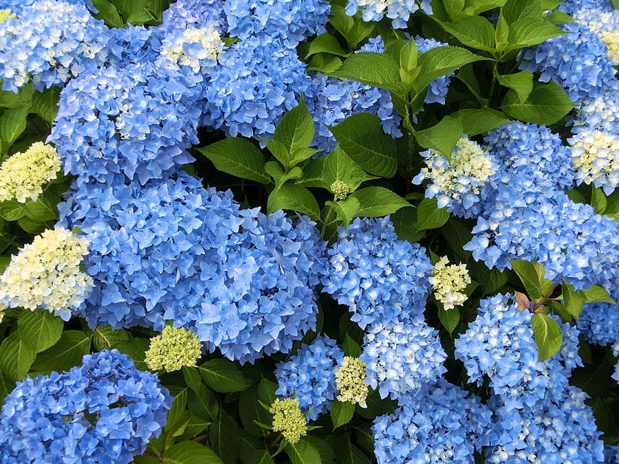 b0279527_01012132.jpg