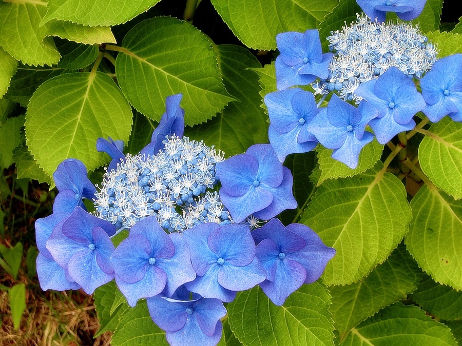 b0279527_01012216.jpg