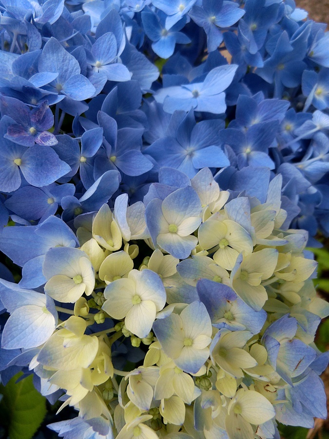 b0279527_01012220.jpg
