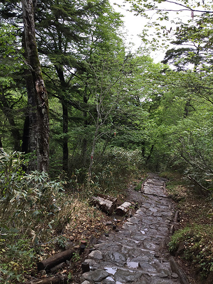 f0171227_11035914.jpg
