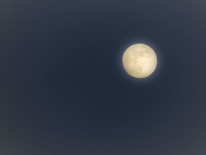 a0354432_20194443.jpg