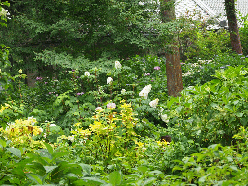 d0290240_03450451.gif