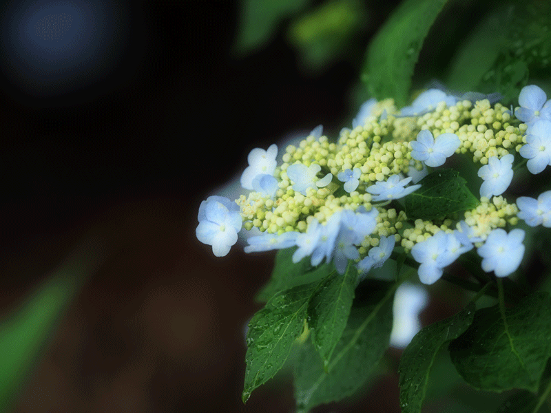 d0290240_03452994.gif