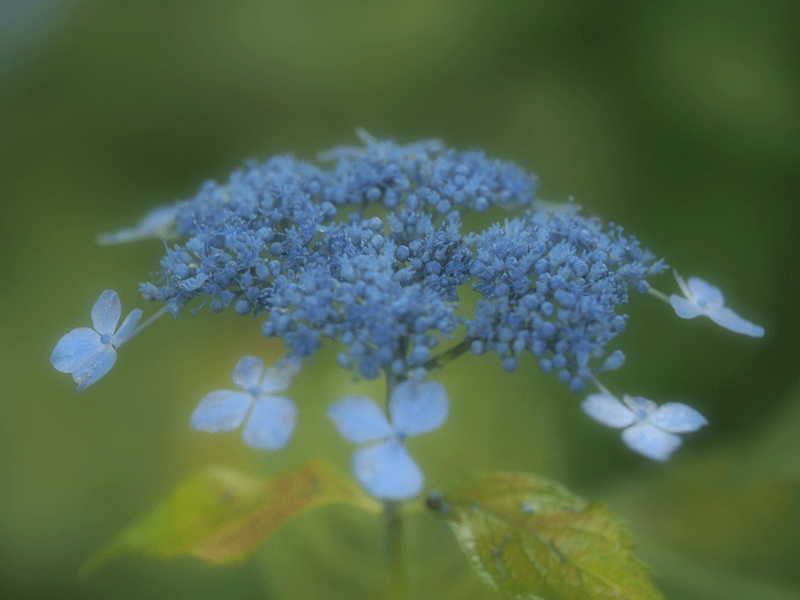 d0290240_16274519.gif