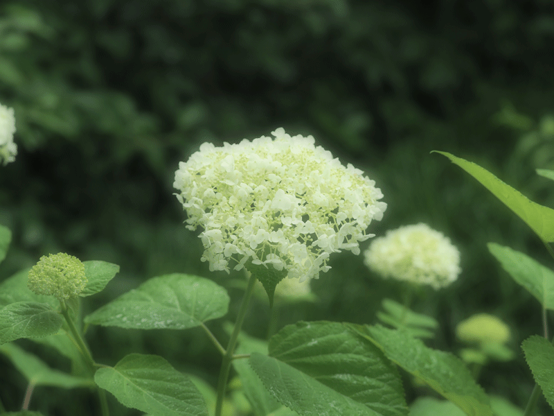 d0290240_16280008.gif
