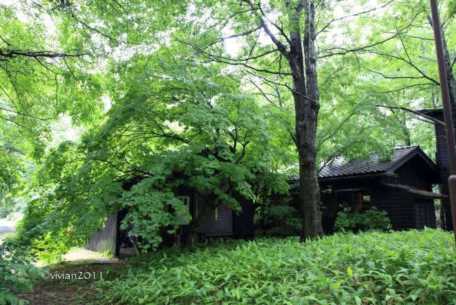 那須高原 蕎麦 石心 せきしん 森の中の隠れ家のようなお蕎麦屋さん 日々の贈り物 私の宇都宮生活 那須高原 蕎麦 石心 せきしん 森の中の隠れ家のようなお蕎麦屋さん 日々の贈り物 私の宇都宮生活