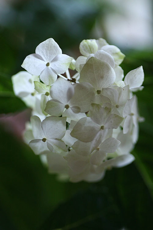 f0271343_10432684.jpg