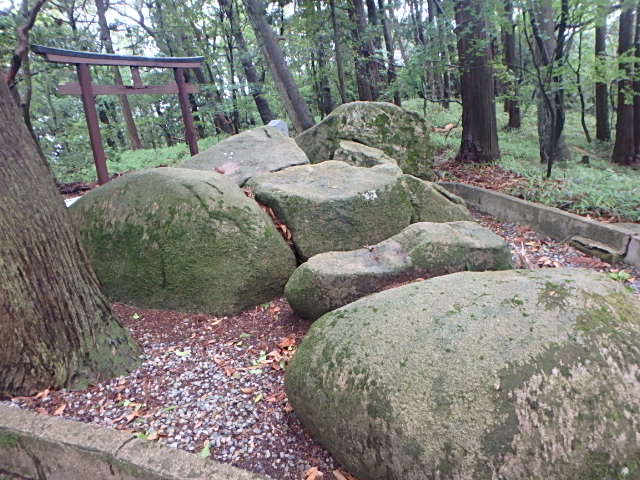 摩耶山 桜谷道 誰がおっさんャ~_f0334143_1837295.jpg