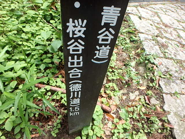 摩耶山 桜谷道 誰がおっさんャ~_f0334143_18381522.jpg