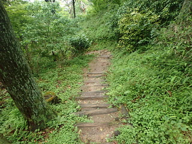 摩耶山 桜谷道 誰がおっさんャ~_f0334143_18382194.jpg
