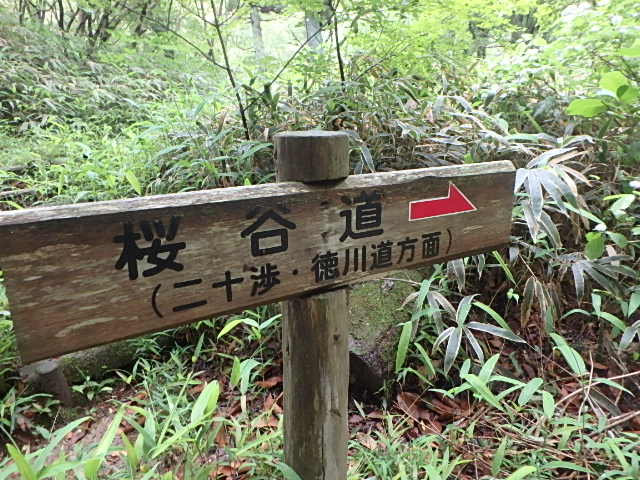 摩耶山 桜谷道 誰がおっさんャ~_f0334143_18384140.jpg