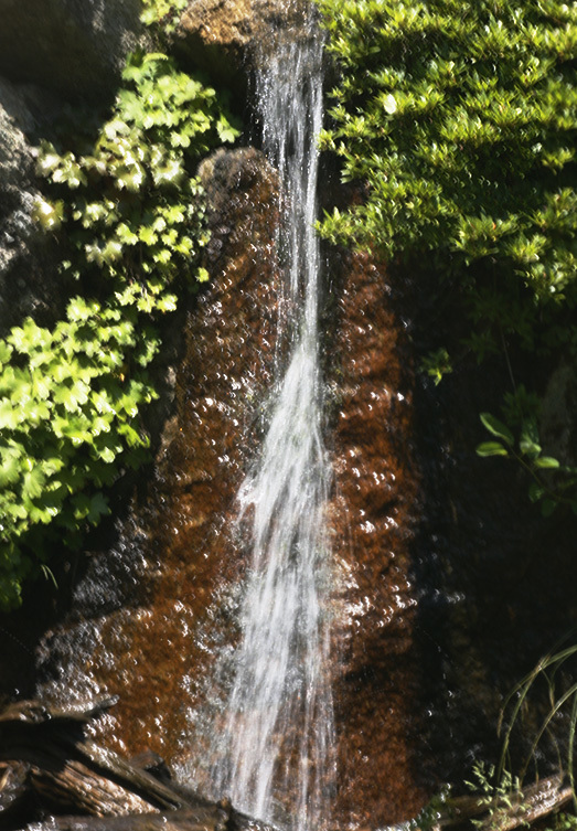 d0322448_12524478.jpg