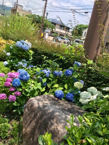 b0290049_00475741.jpeg