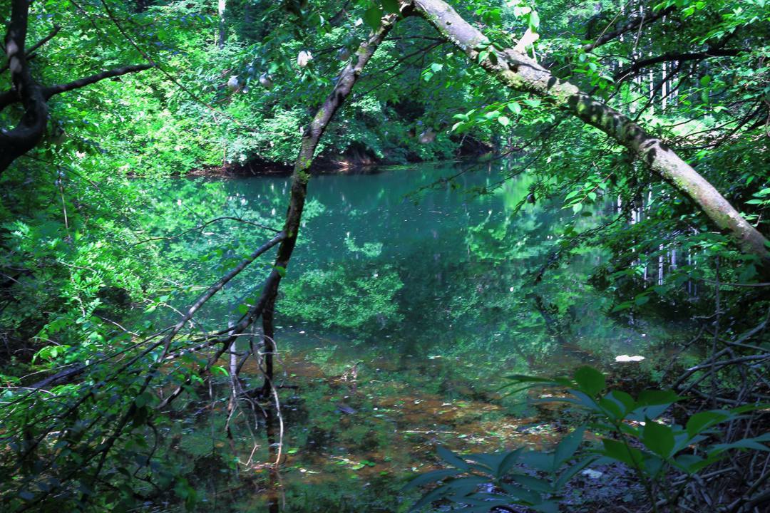 e0403850_12452343.jpg
