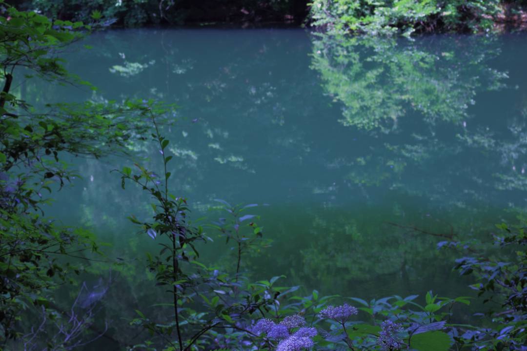e0403850_12463108.jpg