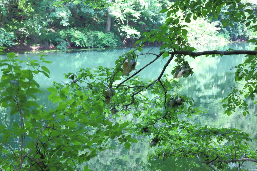 e0403850_12471781.jpg