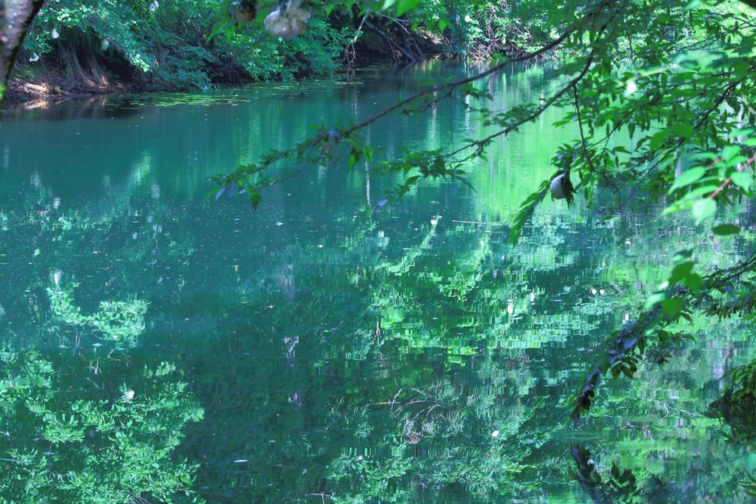 e0403850_13015322.jpg