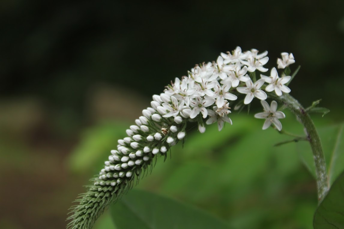 a0248459_19261355.jpg