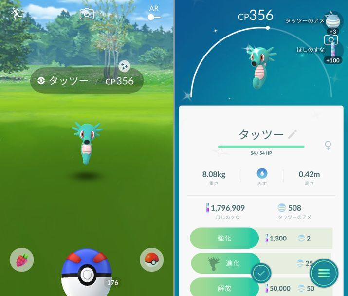 タッツー 色違い 無色日記 タッツー 色違い 無色日記