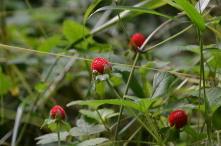 d0247262_9432246.jpg