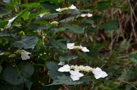 d0247262_9442576.jpg